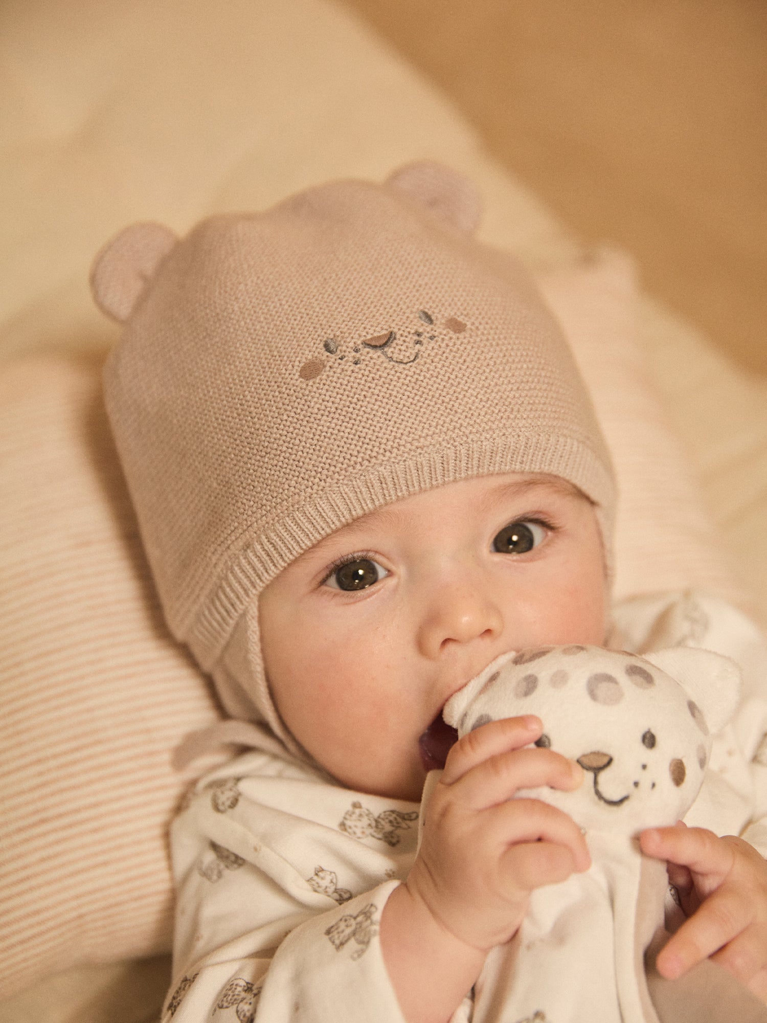 Gray Knitted Hat with Animal Face for Newborn Boy