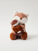 Multicolor SOFT TOYS-25 CM 25HFOXPELUCH / 25J7GM13PE1099