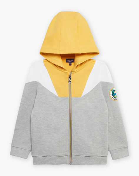 Grey mottled hoodie FLECHAGE / 23E3PGS1GIL943