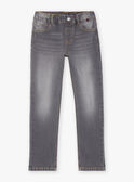 Grey regular jeans FRIZIRAGE2 / 23E3PGB2JEAK004