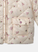 Beige JACKET LIMATHILDE / 24H1BF61VES080