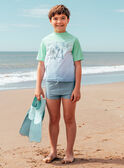 Ice blue SWIMSUIT MRUCAMAGE / 25E4PGC6MAI219