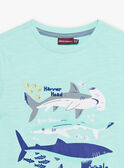Child boy turquoise T-shirt with shark print COTIFAGE / 22E3PGN1TMC203