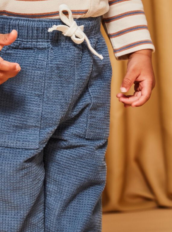 Grey blue corduroy pants DASECTOR / 22H1BGY2PAN205