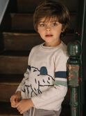 Polar bear sweater