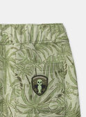 Light green BERMUDA MLEFORTAGE / 25E3PGO3BERG600
