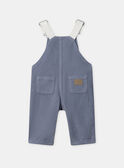 Greyish blue DUNGAREES NAODRAN / 25H1BGW1SAL205
