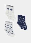Vanilla SOCKS SETx3 MADEBORAH / 25E4BF81LC3114