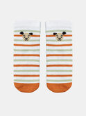 Clay green, orange and off-white striped socks KAAMI / 24E4BG34SOQA001