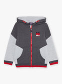 Grey hoodie with M embroidery FRIGILAGE / 23E3PGJ2JGHJ921