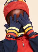 Navy Blue Striped knit gloves FRAGANAGE / 23E4PG51GAN713