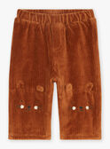 Brown corduroy pants GANOAH / 23H1BGI1PAN815
