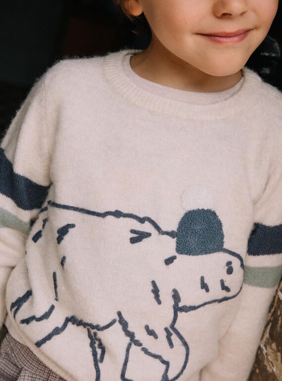 Polar bear sweater DESERTAGE / 22H3PGR2PULA011