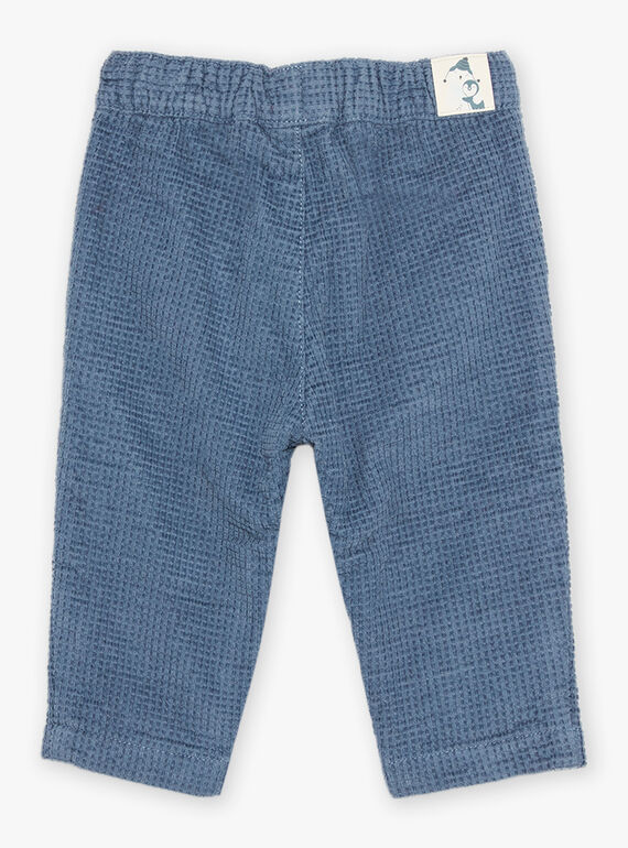 Grey blue corduroy pants DASECTOR / 22H1BGY2PAN205