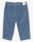 Grey blue corduroy pants DASECTOR / 22H1BGY2PAN205