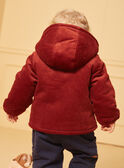 Brown JACKET LIPRINCE / 24H1BG71VESI801