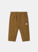 Brown PANTS MAAXEL / 25E1BG71PAN812