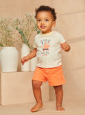 Ecru and orange striped jersey t-shirt with pastel marine animal motifs KAYVAN / 24E1BGS1TEEB116