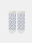 Vanilla SOCKS MEFLERETTE / 25E4PF81SOQ114