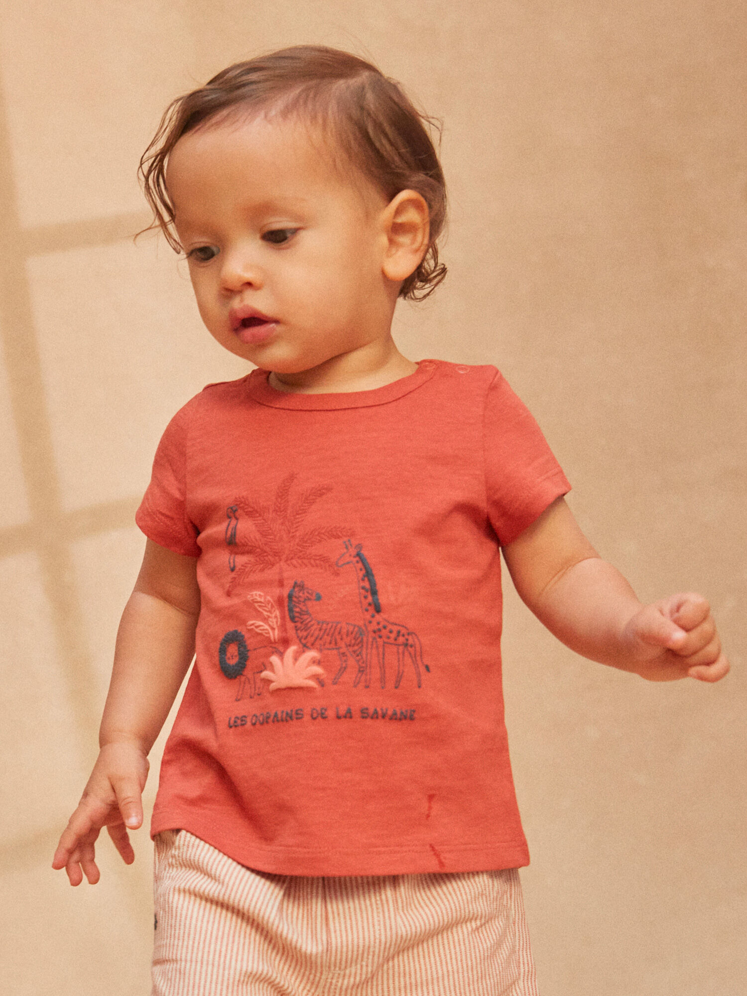 Shirts T shirt Polos New Collection Exclusive prints
