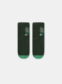 Green SOCKS NICHOSAGE / 25H4PGS1SOQG633