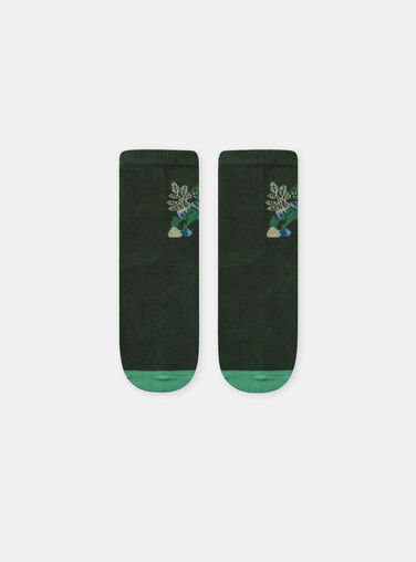 Green SOCKS NICHOSAGE / 25H4PGS1SOQG633