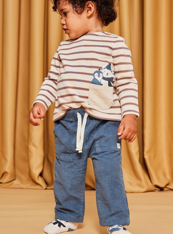 Grey blue corduroy pants DASECTOR / 22H1BGY2PAN205