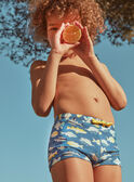 Shark print boxer shorts in ink FRYBOXAGE / 23E4PGM6MAIC214
