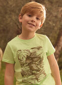 Green TEE SHIRT SS MLEDINAGE / 25E3PGO2TMC603