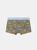 Light Kaki BOXER MLIMAINAGE / 25E5PG41BOX626
