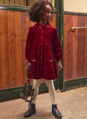 Red DRESS LALICHETTE / 24H2PFR1ROBF506