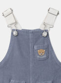 Greyish blue DUNGAREES NAODRAN / 25H1BGW1SAL205