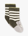 Baby boy puppy striped socks CACOME / 22E4BGB2SOQ604