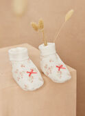 Ecru velvet birth slippers GOSIANE / 23H0AFB1CHP001