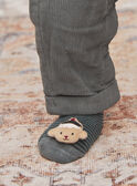 Grey-green socks with stripe print GAPATOCHE / 23H4BGQ1SO7631