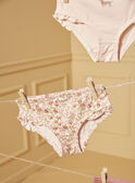 Light beige BRIEFS / PANTY RIB LUICETTE / 24H5PF52SLR806