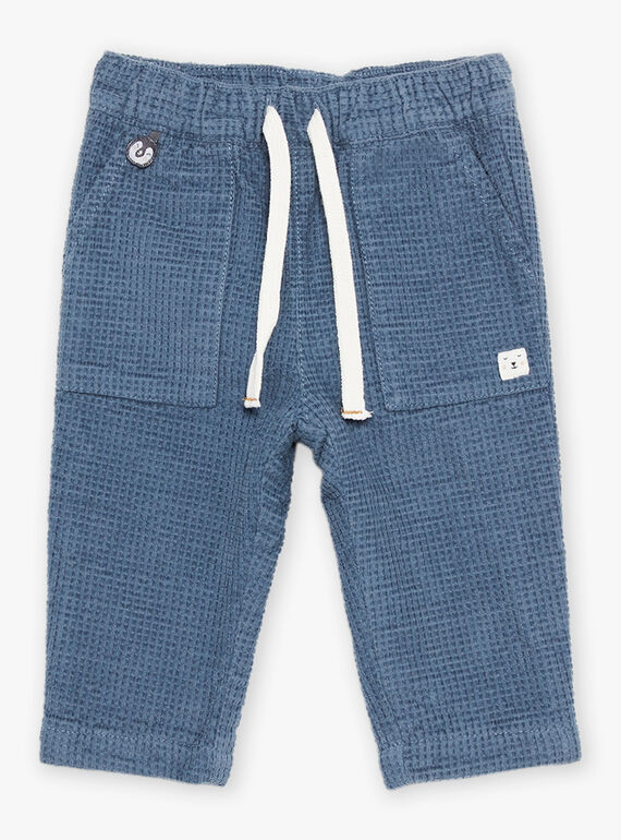 Grey blue corduroy pants DASECTOR / 22H1BGY2PAN205