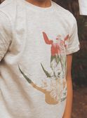 Heather grey rhinoceros T-shirt FRIZOTAGE3 / 23E3PGD4TMCA011