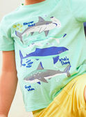 Child boy turquoise T-shirt with shark print COTIFAGE / 22E3PGN1TMC203