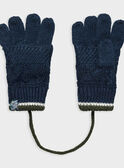 Navy Gloves PICORAGE / 18H4PGH3GAN713