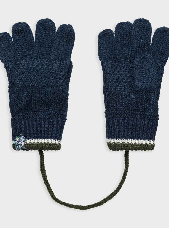Navy Gloves PICORAGE / 18H4PGH3GAN713
