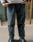 Dark grey pants DEVORAGE / 22H3PGR1PANJ900