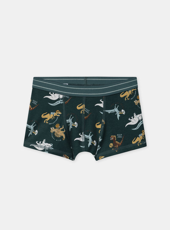 Green BOXER NUIBOXAGE / 25H5PGC1BOX608