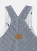 Sky blue DUNGAREES NAUBERT / 25H1BGV1SAL216