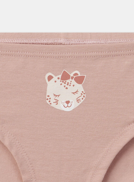 Rose wood BRIEFS / PANTY RIB NEJICETTE / 25H5PFC3SLR312