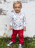 Baby boy's plain red pants BABROOK / 21H1BG11PAN050