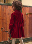 Red DRESS LALICHETTE / 24H2PFR1ROBF506