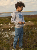 Heather grey PULLOVER MEBOSSAGE / 25E3PG81PUL943