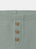 Light green LEGGINGS (bottom) MAILONA / 25E1BF91LGG600