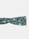 Green HEADWRAP LALUCIE / 24H4BFO1BANG618